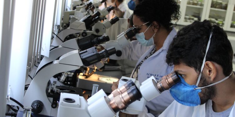 Ministério da Saúde, em parceria com o ITP, Unit e Lacen, promove capacitação de técnicos para identificação de vetores da Doença de Chagas