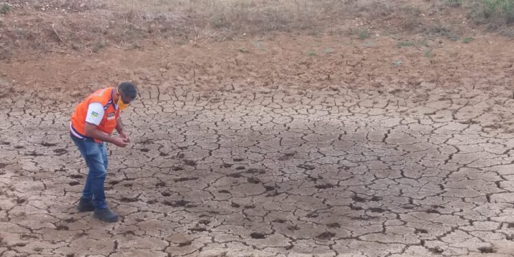 Sergipe decreta situação de emergência por seca e estiagem e pede reconhecimento do governo federal