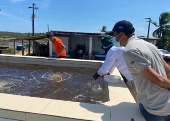 Socorro recebe representantes de empresas de carcinicultura
