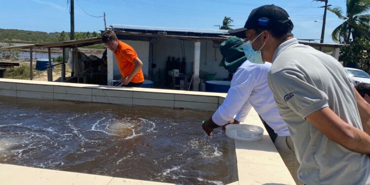 Socorro recebe representantes de empresas de carcinicultura