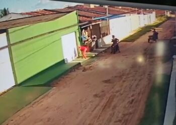 Em menos de três meses, Polícia Civil esclarece três casos de abandono de animais em Lagarto