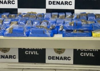 Polícia Civil apreende 50 kg de drogas em Itabaiana e Aracaju