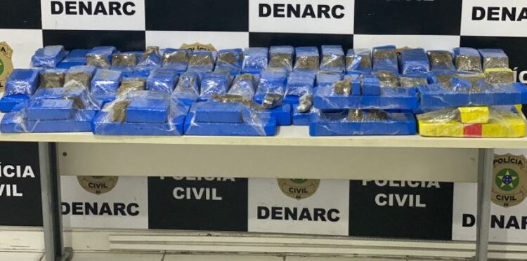 Polícia Civil apreende 50 kg de drogas em Itabaiana e Aracaju