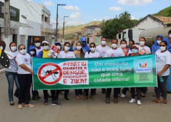 Saúde mobiliza municípios no Dia Nacional de Combate e Controle ao Aedes aegypti