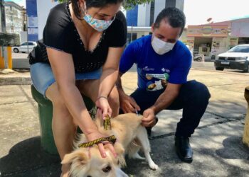 Campanha antirrábica vacina mais de 13 mil animais no primeiro dia dos postos fixos