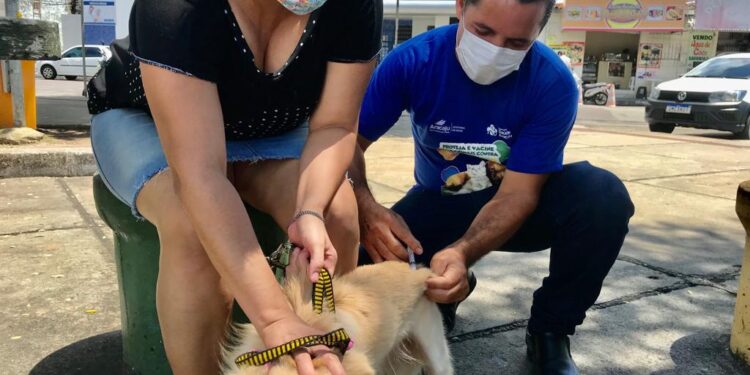 Campanha antirrábica vacina mais de 13 mil animais no primeiro dia dos postos fixos