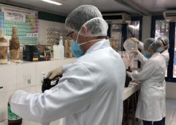 Sergipe registra 12 novos casos de Covid-19 e um óbito nesta terça-feira