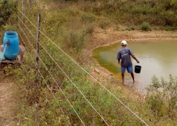 Seca e estiagem afetam quase 54 mil pessoas em dez municípios de SE