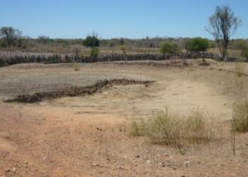 Nos últimos 4 anos, mais de 50% dos municípios sergipanos foram afetados pela seca