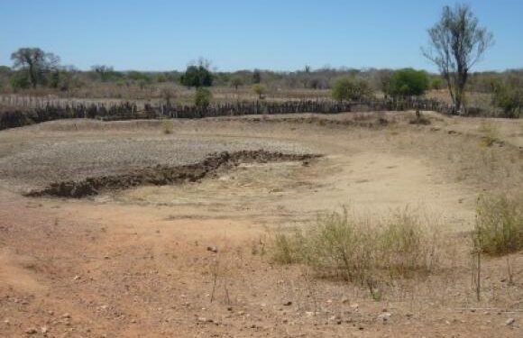 Nos últimos 4 anos, mais de 50% dos municípios sergipanos foram afetados pela seca