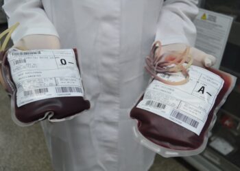 Hemose fecha no feriado de Nossa Senhora da Conceição e retorna na quinta, 9