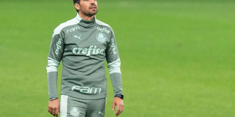 Após receber proposta milionária, Abel Ferreira toma decisão sobre seu futuro