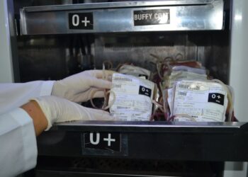 Hemose: Doação de sangue abre na véspera de Ano Novo das 7h às 11h