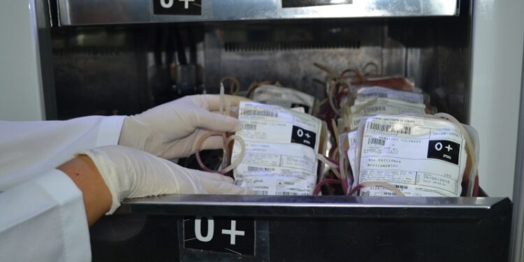 Hemose: Doação de sangue abre na véspera de Ano Novo das 7h às 11h
