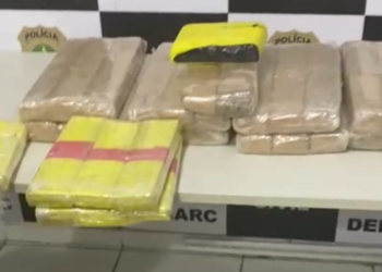 Denarc apreende 30kg de drogas em ônibus interestadual vindo da Bahia