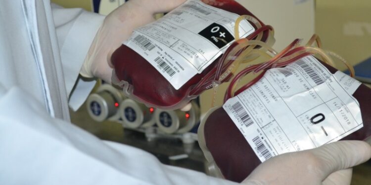 Hemose: Doação de sangue abre na véspera de Natal das 7h às 11h e no feriado fecha