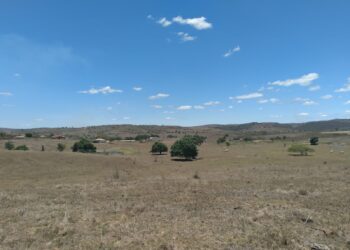 Últimos dias de 2021 serão de manhãs e noites nubladas, tardes ensolaradas e temperatura máximas no interior do Estado acima de 34ºC