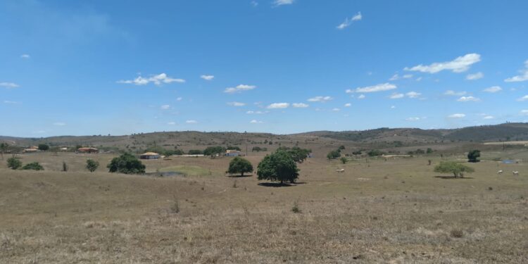 Últimos dias de 2021 serão de manhãs e noites nubladas, tardes ensolaradas e temperatura máximas no interior do Estado acima de 34ºC