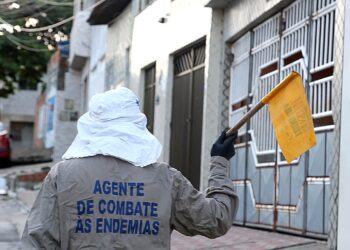 Prefeitura cria painel de controle do Aedes aegypti em Aracaju