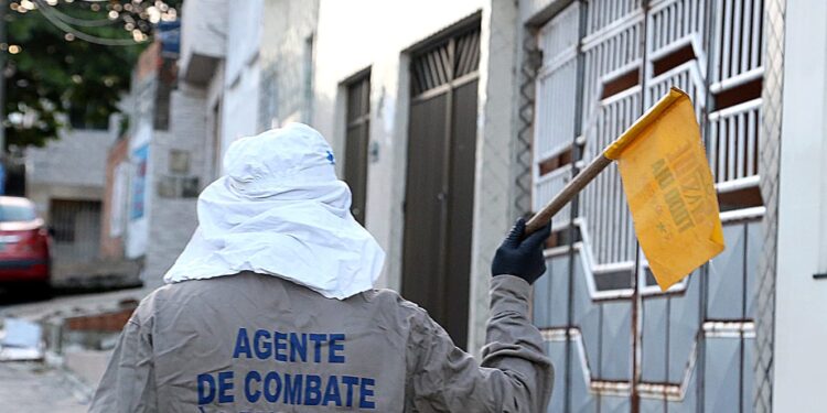 Prefeitura cria painel de controle do Aedes aegypti em Aracaju