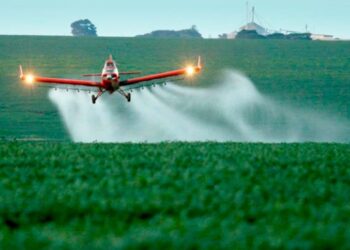 Programa da Agricultura revela metais pesados e agrotóxicos proibidos em alimentos