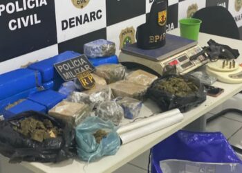 Ação conjunta apreende 12kg de maconha no Santa Maria