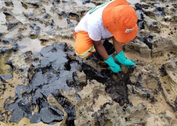 Óleo que atingiu praias do Nordeste veio de petroleiro grego, diz PF