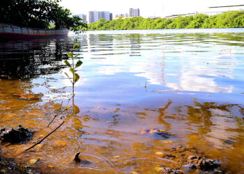 Elaboração do Plano de Manejo do Parque Rio Poxim entra em nova etapa