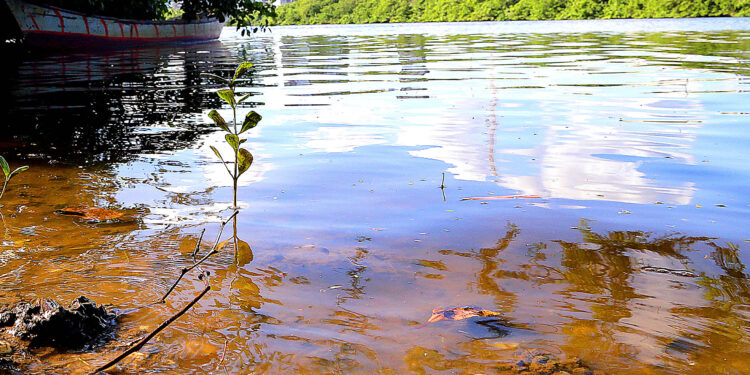Elaboração do Plano de Manejo do Parque Rio Poxim entra em nova etapa