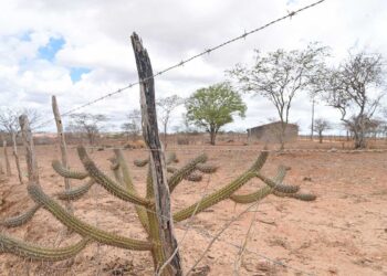 Defesa Civil reconhece situação de emergência em 10 cidades do País, inclusive Gracho Cardoso
