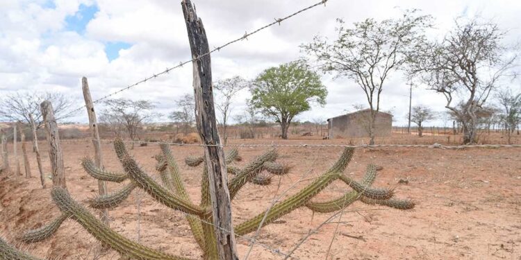 Defesa Civil reconhece situação de emergência em 10 cidades do País, inclusive Gracho Cardoso