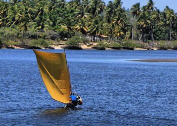 Banese promove I Corrida de Canoas Sergipanas