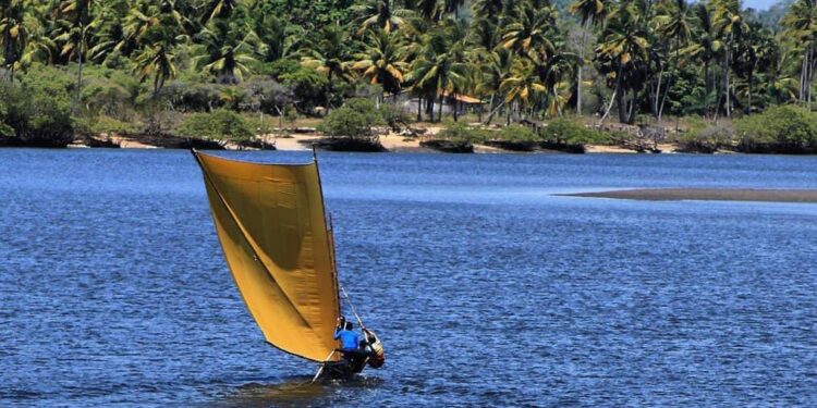 Banese promove I Corrida de Canoas Sergipanas