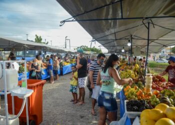 Prefeitura altera funcionamento de feiras livres na capital em virtude do Réveillon