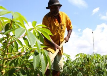 Agricultores de 17 municípios receberão o seguro do Garantia-Safra