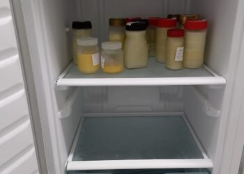 Com estoque muito baixo, Banco de Leite Humano pede novas doadoras