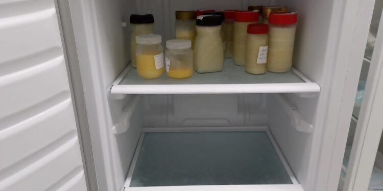 Com estoque muito baixo, Banco de Leite Humano pede novas doadoras