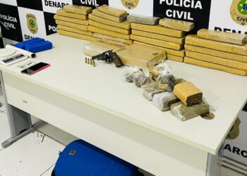 Denarc apreende 40kg de entorpecentes em Nossa Senhora do Socorro
