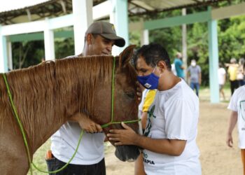 Luciano Bispo visita instalações do serviço de equoterapia