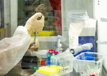 UFS projeta novo pico de covid entre os meses de março e abril