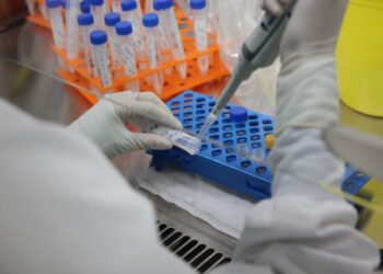 Sergipe registra 104 novos casos de Covid-19 e nenhum óbito nesta terça, 11