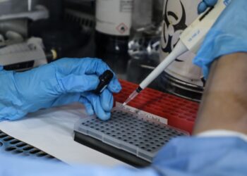 Secretaria de Estado da Saúde atualiza o cenário epidemiológico do vírus Influenza A H3N2