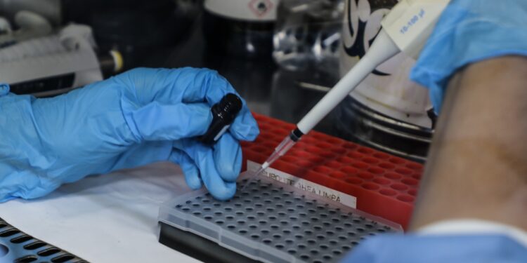 Secretaria de Estado da Saúde atualiza o cenário epidemiológico do vírus Influenza A H3N2