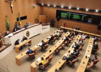Atuação dos deputados promove a democracia e direitos dos cidadãos