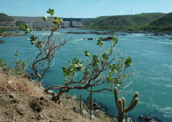 Defesa Civil emite alerta para cidades ribeirinhas após aumento de vazão do Rio São Francisco