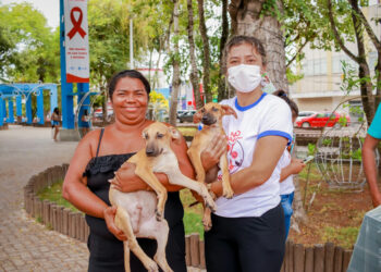 Prefeitura de Lagarto realiza mais uma Feirinha de Adoção de cães e gatos