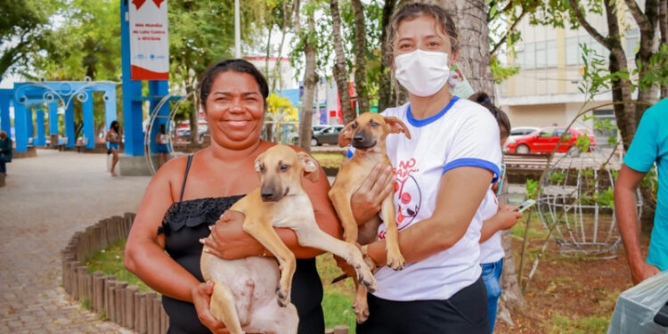 Prefeitura de Lagarto realiza mais uma Feirinha de Adoção de cães e gatos