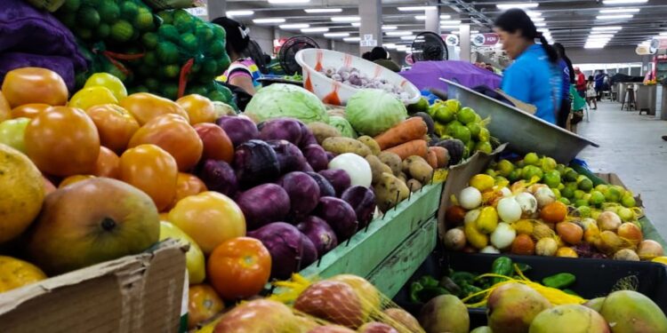 Auxílio Brasil deve injetar, no mínimo, R$ 84 bilhões na economia