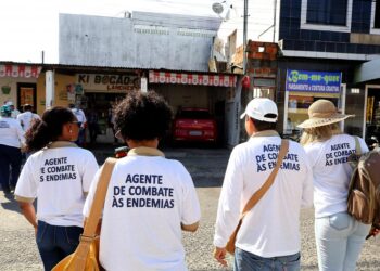 Notificação de casos relacionados ao Aedes aegypti auxilia no combate ao mosquisto