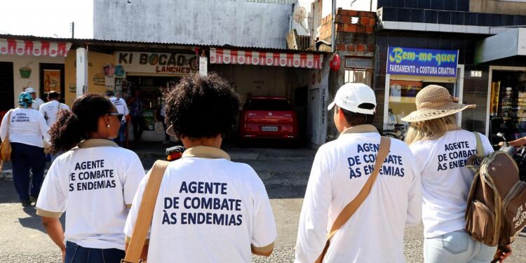 Notificação de casos relacionados ao Aedes aegypti auxilia no combate ao mosquisto